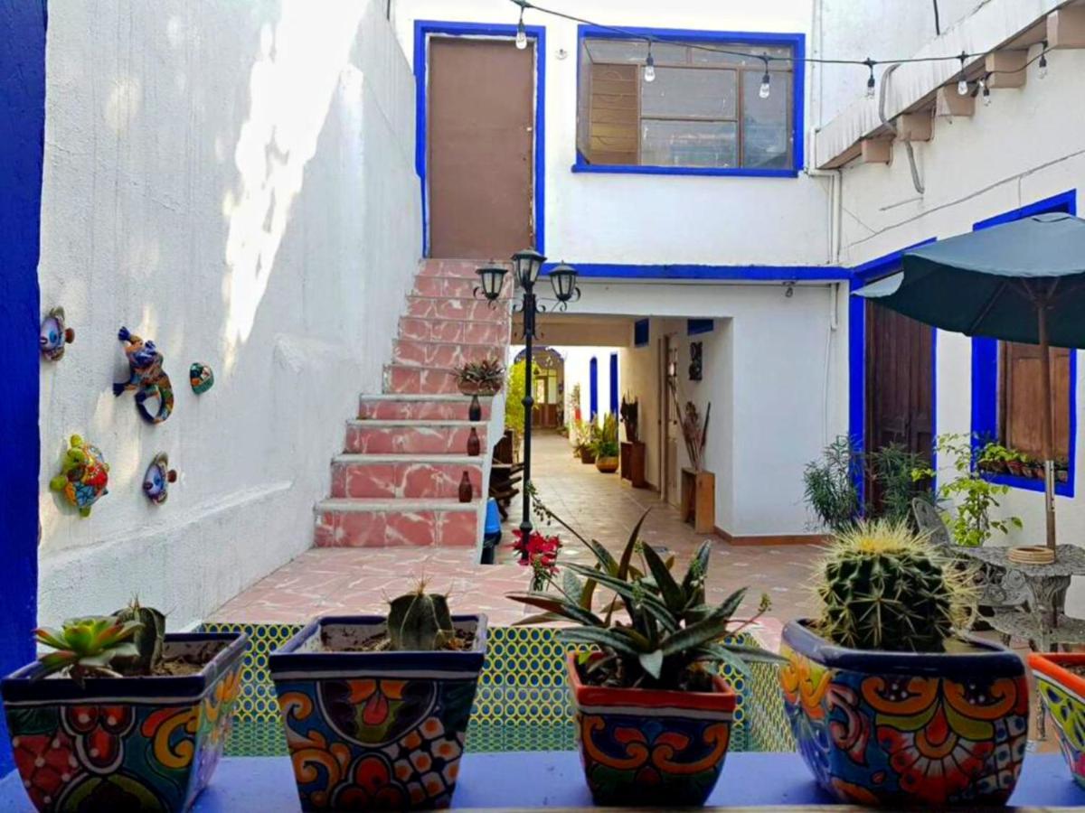 Ikali Hostel Monterrey Eksteriør billede